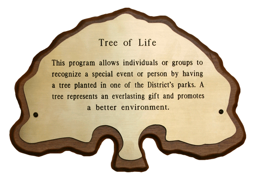 Tree of Life Program at the Des Plaines Park District