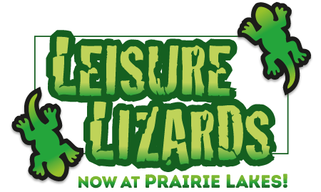 Leisure Lizards Stay & Play at the Des Plaines Park District – School Day Off Programs